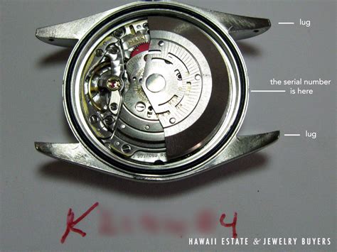 rolex daytona seriale v|rolex watch serial number location.